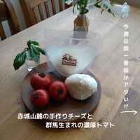 ブログ"