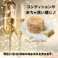 ブログ"